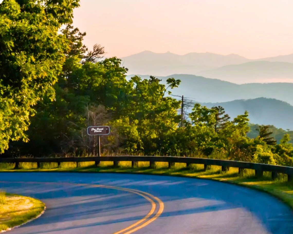 A road entering tree coverage on a bend overlooking misty hills in the background