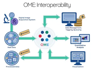 OMERO intraoperability